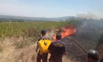 Aktive zjarret afër Kalanjevës dhe Sirkovës 