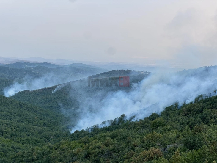 Во штипскиот дел на планината Серта пожарот е активен на неколку жаришта, над селото Драгоев ставен под контрола