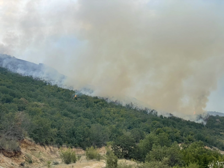 Чад во Штип по пожарот што избувна во Селца, Драгоево и Пиперово