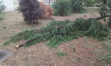 Lagje pa rrymë, rrëzohen pemë, rrugë të përmbytura si pasojë e stuhisë së shkurtër në Shkup