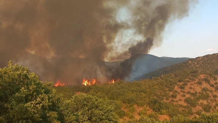 Михаилов од ЈП „Македонски шуми“: Штетата што ќе ја претрпи планината Серта од пожарите е епохална за неа