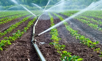 Temperaturat e larta janë rrezik për bujqësinë, sistemet e ujitjes duhet të aktivizohen maskimalisht