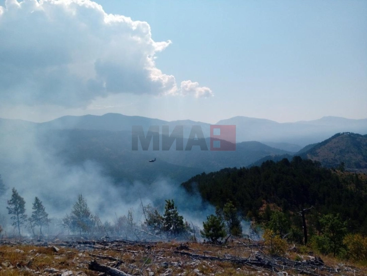 Një zjarr ka përfshirë një pyll me pisha afër Makedonski Brodit në fshatin Tazhevë