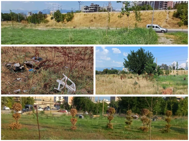 ЛДП: Градските власти да ја искосат тревата и да ги средат парковите во Скопје