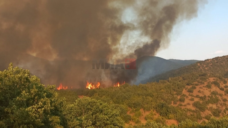 Големо жариште на планината Серта – голем број припадници на АРМ, МВР и ДЗС дејствуваат во гаснењето