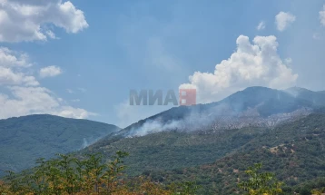 Во штипскиот дел на Серта сите сили насочени на гаснење на пожарот меѓу селата Селце и Пухче
