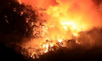Поради шумски пожар наредена евакуација во канадската провинција Алберта