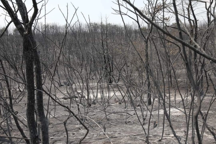 По тринаесет дена пожарот кај Серта е целосно изгаснат