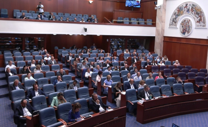 Parliament elects Government deputy ministers