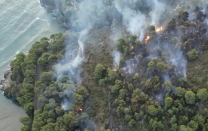 Шумски пожар во јужна Италија принуди евакуација на туристички ресорт