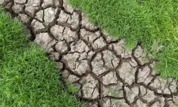 Сушата во Романија предизвика штети во земјоделството од 2,8 милијарди евра