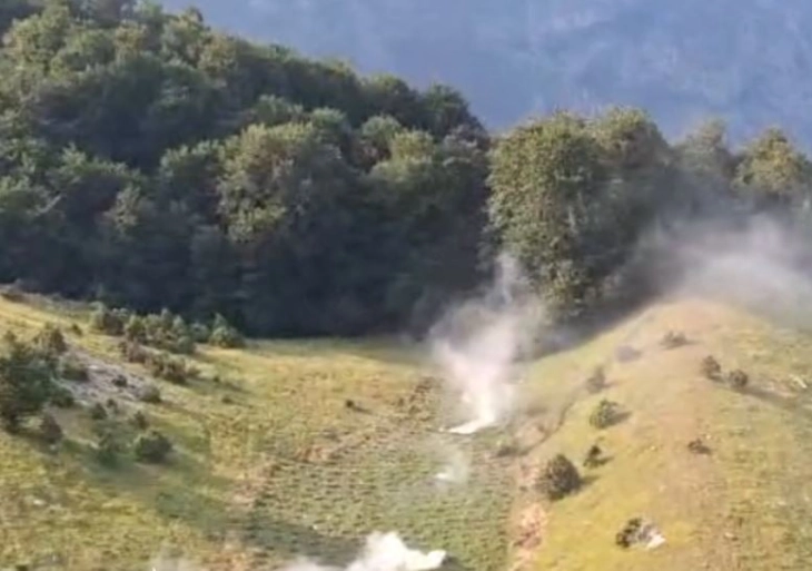 Во заедничка акција на албанската и црногорската полиција уништени над 11 илјади стебла мархуана