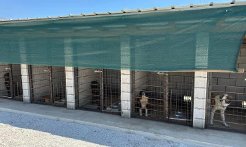 Во Тетово почна да функционира прифатилиштето за бездомни кучиња
