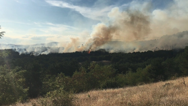 Хеликоптери на АРМ и МВР помагаат во гасењето на шумскиот пожар кај кочанското село Главовица