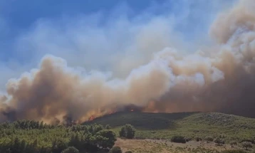Angelov: 20 wildfires, 10 put out, eight active, two under control 