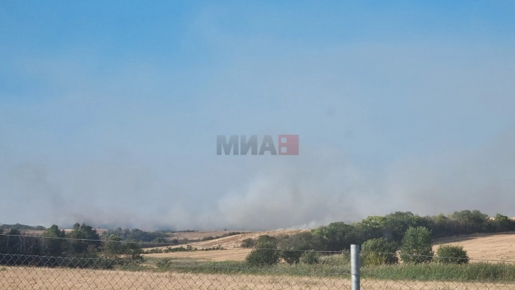 Three villages affected by wildfires in Sveti Nikole 