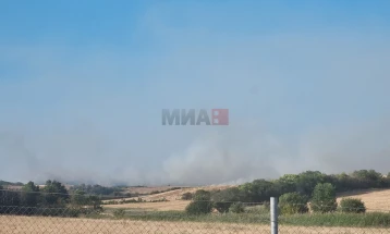 Three villages affected by wildfires in Sveti Nikole 