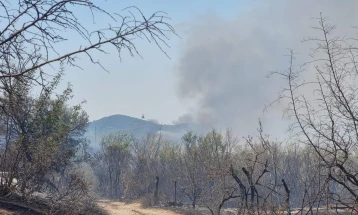 Star Dojran fire extinguished