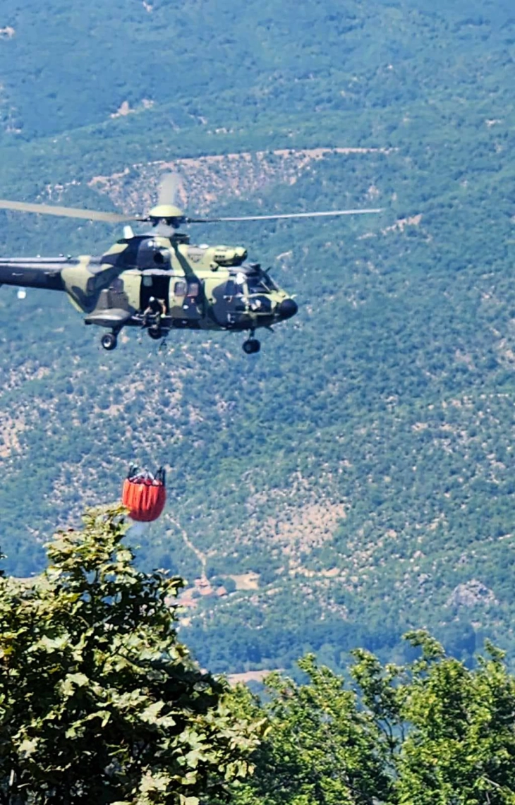 Два српски хеликоптери и 54 пожарникари ангажирани во гаснењето пожар кај Прохор Пчински и Свети Николе