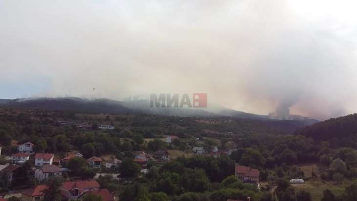Локализиран пожарот кај Пехчево