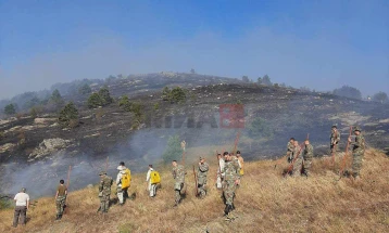 Активен пожарот во Старо Нагоричане, во Куманово состојбата стабилна