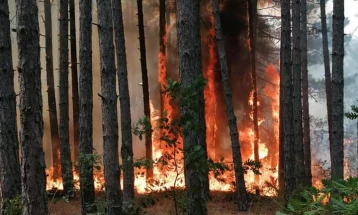 МЗШВ повикува на претпазливост за спречување пожари на отворено