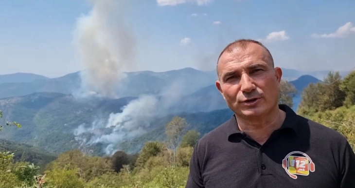 Ангелов: Активни се девет пожари, нови пожари во Охридско и Скопско