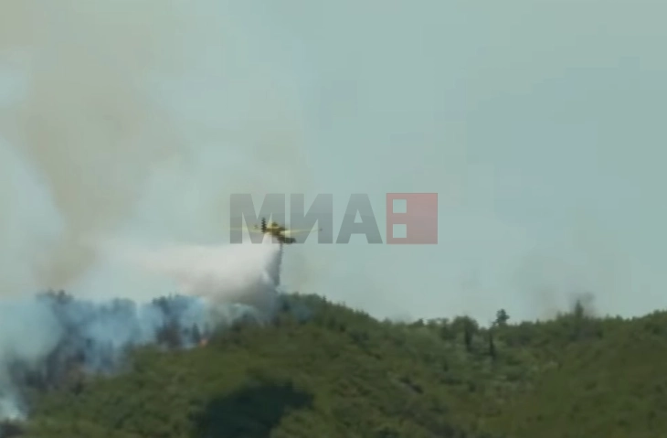 Продолжува борбата со пожарите во Далмација, стотици пожарникари на терен