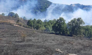 Сува трева, стрништа гореле во липковско и кумановско, во моментот нема активни пожари