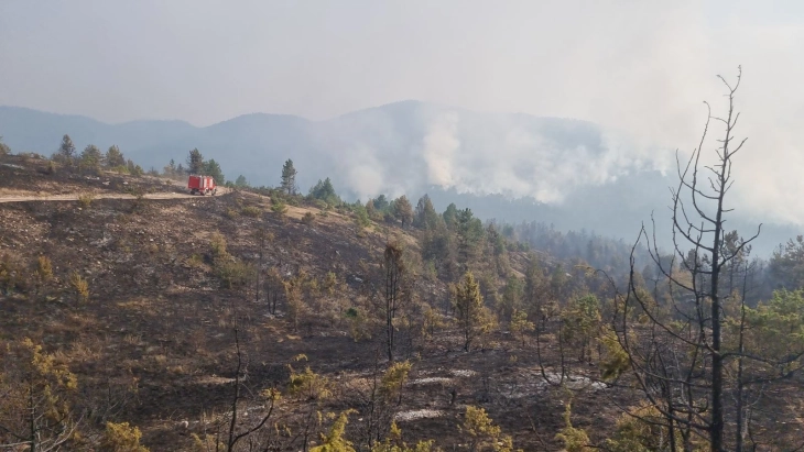 CMC: Wildfires burning in Makedonski Brod, Demir Hisar, Gevgelija, Studenichani, Probishtip