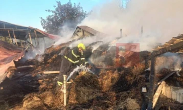 Во пожар изгоре штала од коњички клуб во Неготино, коњите се спасени 