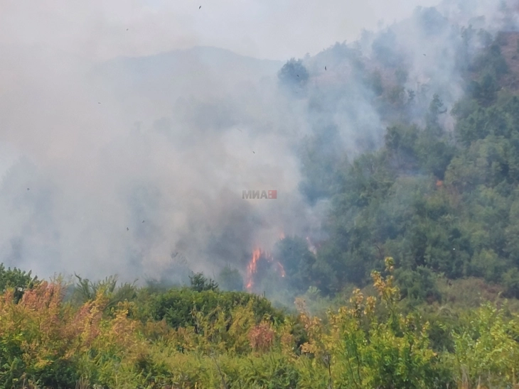 Под контрола пожарот кај Слатина, Македонски Брод