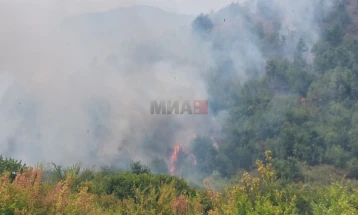 Активен пожарот кај Брезница во Македонски Брод