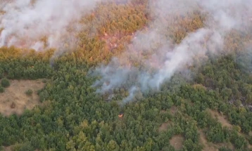 Дронови на МВР ги мониторираат шумските појаси со цел рана превенција од пожари