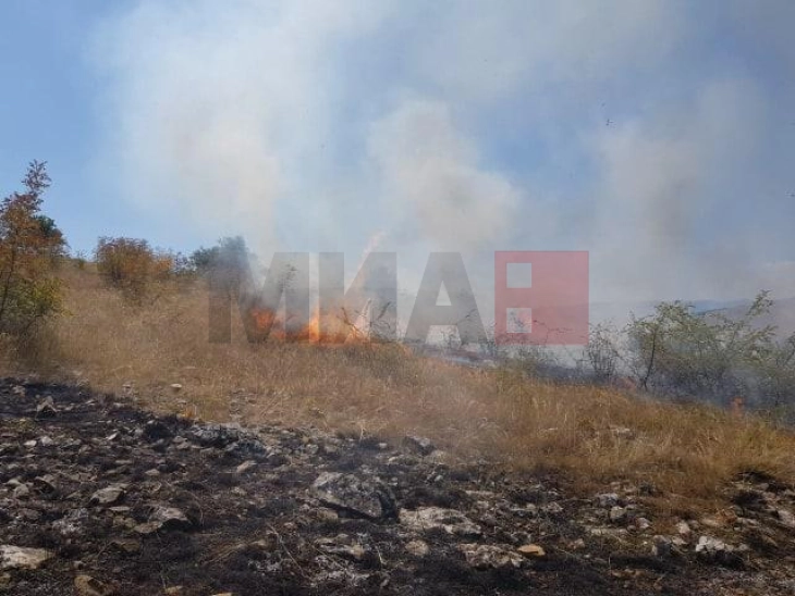 Изгаснат пожарот на дабова шума во липковско Матејче