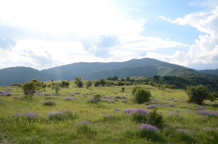 Најсвежо во Лазарополе, најмногу дожд во Пожаране