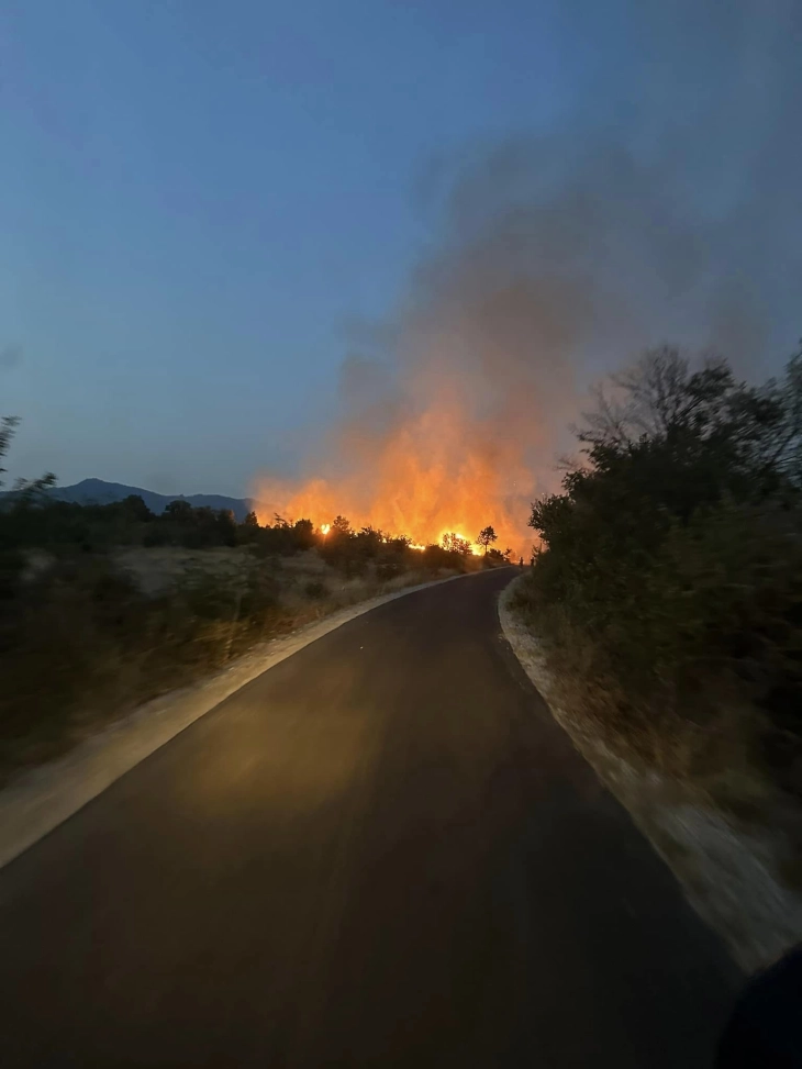 Изгаснати пожарите во липковско Матејче и во Жегљане, Старо Нагоричане