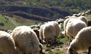 Shqipëria ka ndaluar importin e deleve dhe dhive nga Greqia dhe Rumania ku ka paraqitje të murtajës