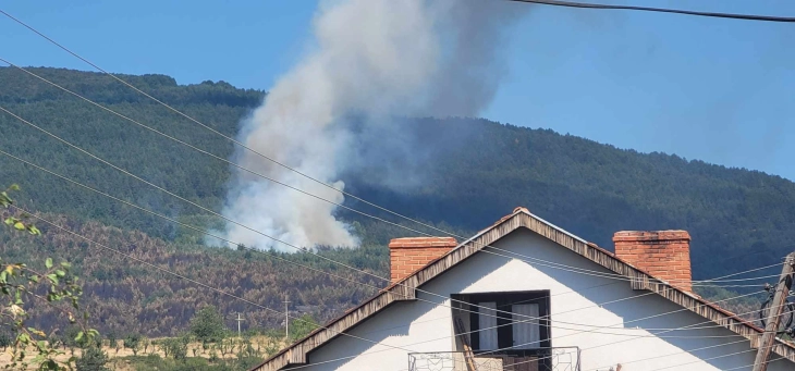 Нов пожар кај Пехчево