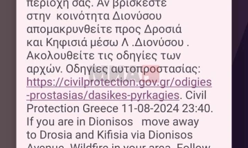 Евакуација на предградија во источниот дел на Атика, поширокиот регион на Атина, поради големиот пожар