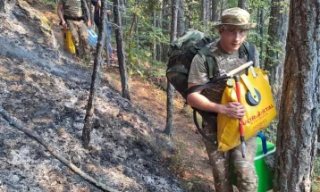 Трет ден се гасне  пожарот на врвот Буковиќ кај Пехчево