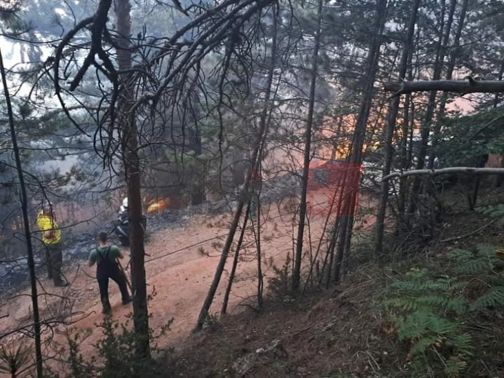 Пожарот во Пехчево се уште активен, се прават крајни напори до вечер да биде ставен под контрола