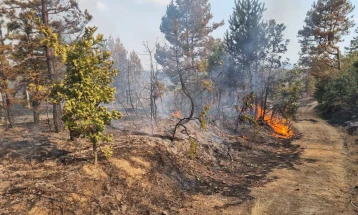 Fire near Kichevo's Zajas reignites, firefighters and 30 soldiers on site