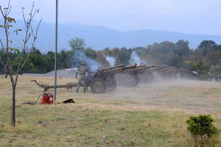 Honorary gun salute on Army Day