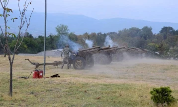 Honorary gun salute on Army Day