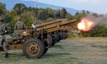 Honorary gun salute on Army Day