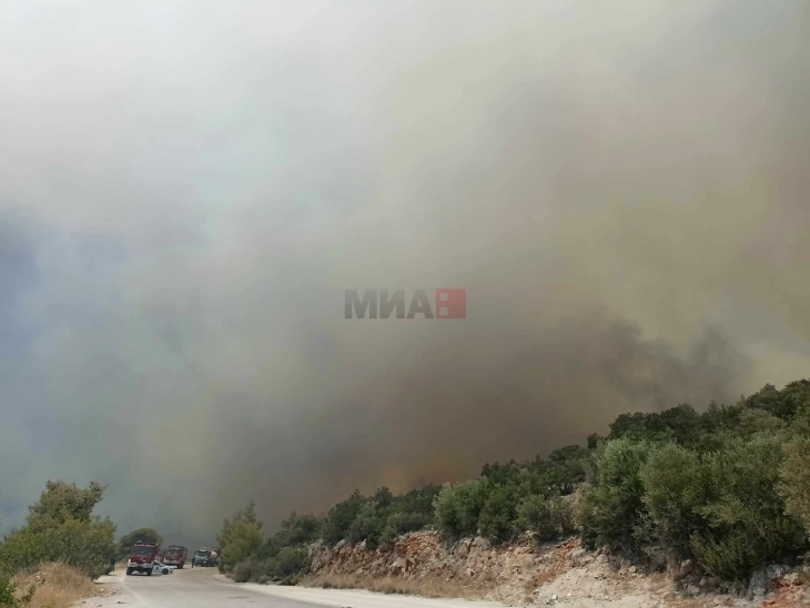 Висока опасност од пожари во одредени делови на Грција, надлежниот министер повикува на зголемена внимателност