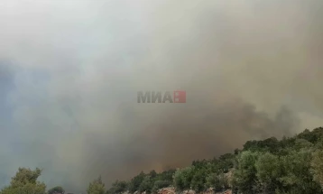 Висока опасност од пожари во одредени делови на Грција, надлежниот министер повикува на зголемена внимателност