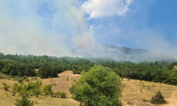 Шумскиот пожар кај село Степанци во Општина Чашка се гасне од земја и од небо