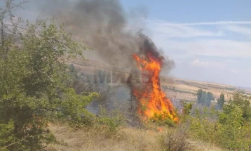 Tetë zjarre në ambient të hapur deri në orën 13:30, aktive janë katër